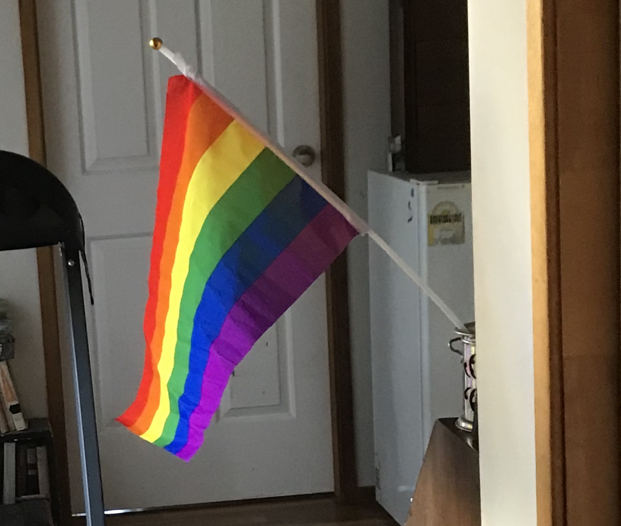 rainbow flag hanging on office
